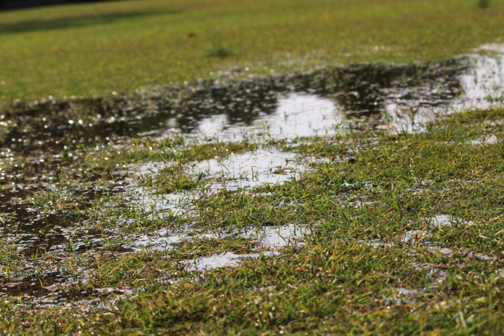 Nasser Rasen nach Regen