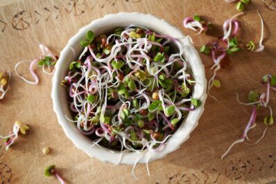 Radieschen-Sprossen: Anzucht & Wirkung 