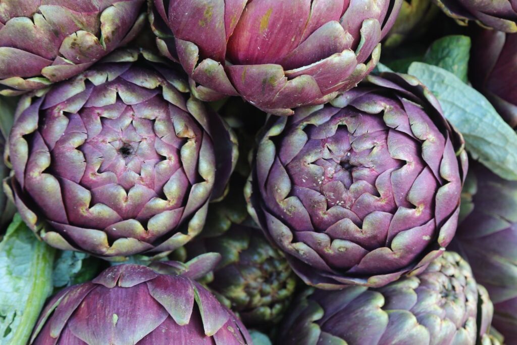 Artischocken zum Leber entgiften