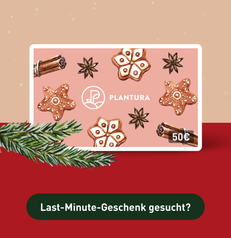 Plantura Geschenkgutschein