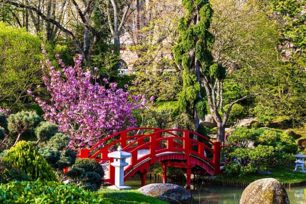 Asia Garten mit einer Brücke